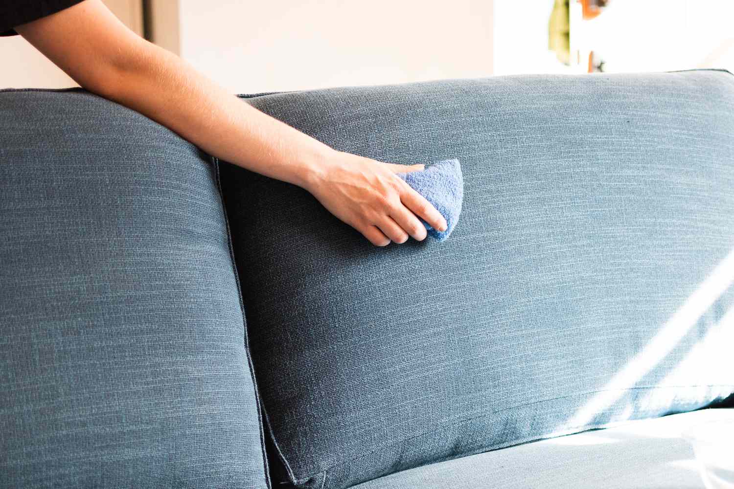 Professional Alta Fabric Maintenance